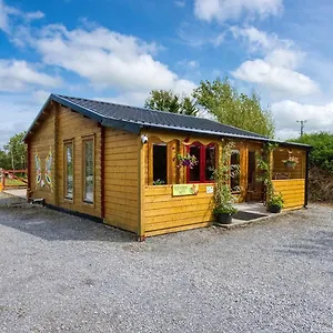 Red Robin Nest Galway